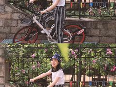 -嘉定紫藤园