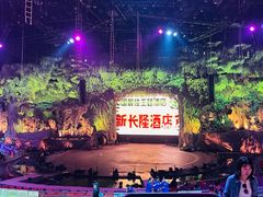 -广州长隆国际大马戏