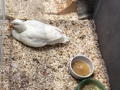 -狗道宠物(常熟印象城店)