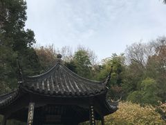 -兴福禅寺