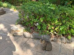 -厦门日月谷温泉渡假村