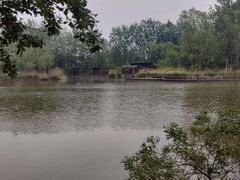 -翠湖国家城市湿地公园