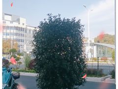 -东吴水韵(吴中店)