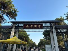 -中国唐苑