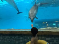 -波塞冬旅游度假区