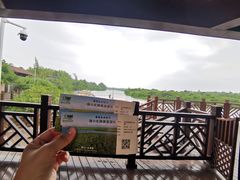 -东寨港红树林旅游区