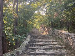 -阳台山自然风景区