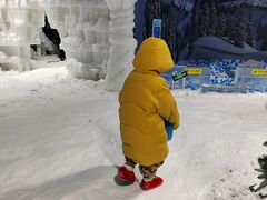 -杭州少年儿童公园