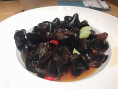 -九毛九西北菜(大东海店)