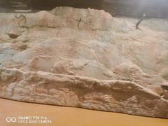 -秦始皇帝陵博物院-丽山园