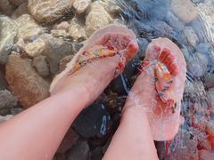 -虹口漂流