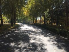 -长春公园(普阳街道)