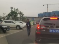 -光明小镇欢乐田园