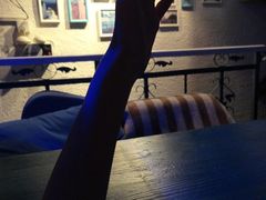 -Sirena海妖日咖夜酒