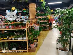 -旺中旺生活超市(洪都店)