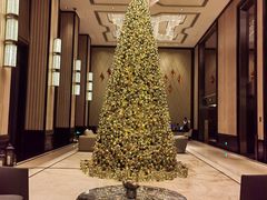 -Yan Ting宴庭中餐厅-长沙瑞吉酒店(运达店)