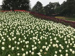 -保利石象湖景区