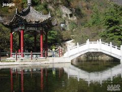 -王顺山国家森林公园