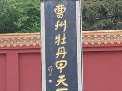 -曹州牡丹园