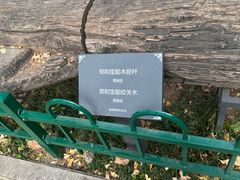 -郑和公园