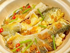 -炆艺乳鸽·煲仔饭大排档(望京来广营店)