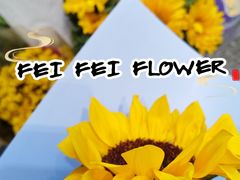-FEI FEI FLOWER鲜花店·气球派对·宝宝宴布置(虹口德必运动Loft店)