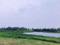 -蒲河岛湿地公园
