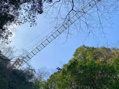 -藏龙百瀑风景区