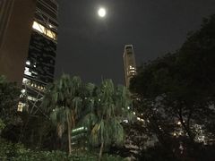 -九龙公园