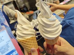 -溪边姑娘·拉丝酸奶水果捞(春熙路店)