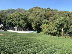 -听风阁农家私房菜茶楼(龙坞店)