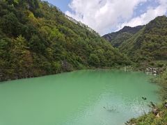 -狮子沟牧场