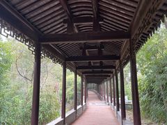 -八大山人梅湖景区