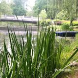 [亲亲]夏日感受自然风光