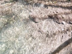 -王顺山国家森林公园