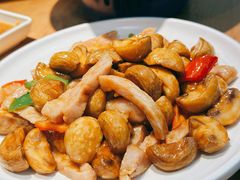 -波螺油子青岛本帮菜(银座店)