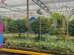 -南宫五洲植物乐园