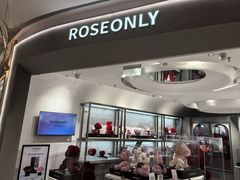-ROSEONLY诺誓(广州K11店)