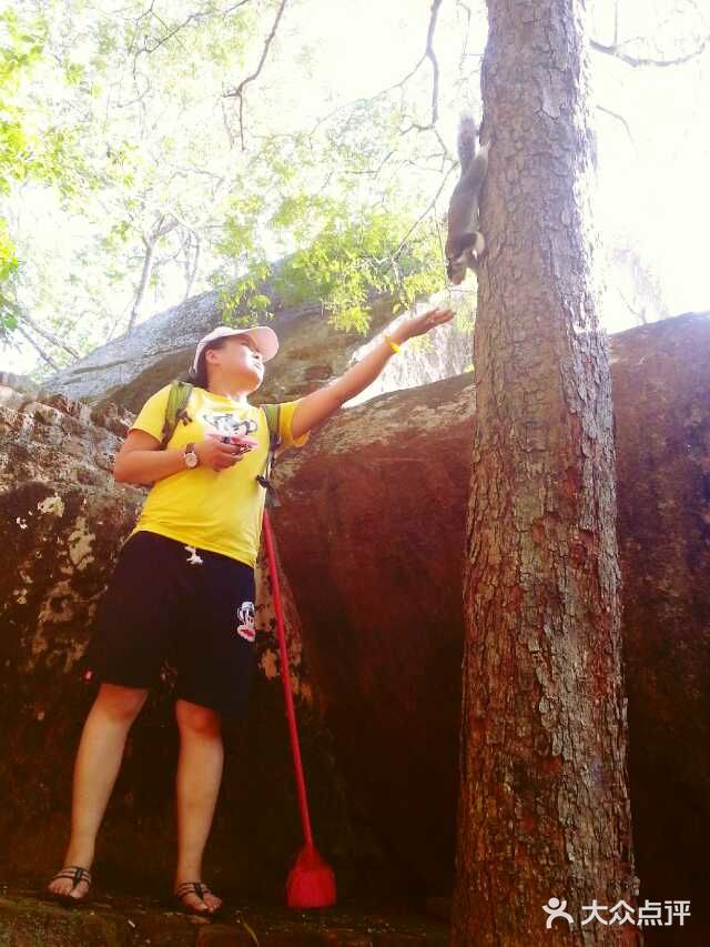 鲸鱼们都会浮出水面换气，再次下潜的时候，就能照到尾鳍