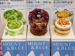 -山与蓝·轻糖鲜果蛋糕(勒泰店)