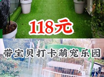 118元带宝贝打卡萌宠乐园