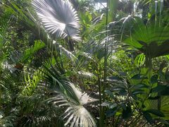 -海南热带野生动植物园