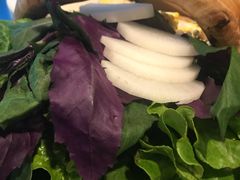 -东椰·海南椰子鸡火锅(朝阳门店)