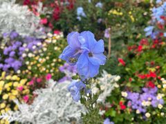 -徐家汇源景区-衡山公园