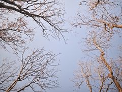 -闵行体育公园(七宝镇)