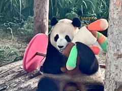 -大连森林动物园