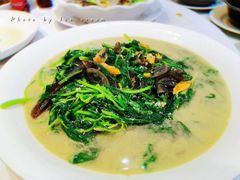 -凤城礼记鱼翅海鲜酒家(新马路总店)