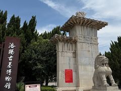 -洛阳古墓博物馆