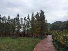 -广州市石门国家森林公园