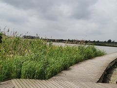 -盐城丹顶鹤湿地生态旅游区